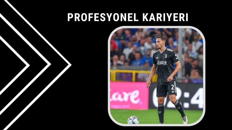 Profesyonel Kariyeri